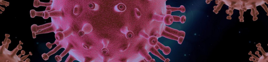 Marché de l'or et Covid-19 : des investisseurs optimistes